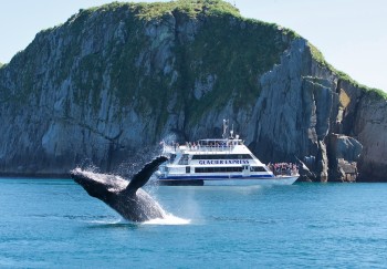 Photo of Humpback Whale Breach